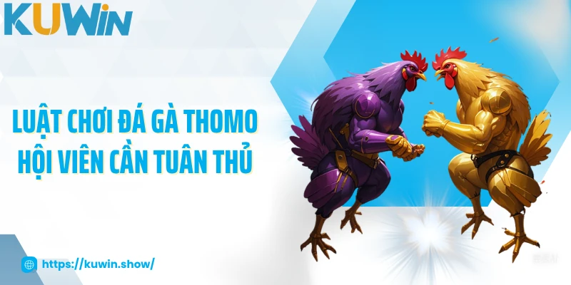 Luật chơi đá gà Thomo hội viên cần tuân thủ