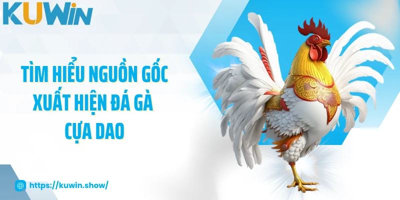 Tìm hiểu nguồn gốc xuất hiện đá gà cựa dao